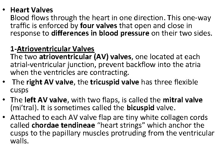  • Heart Valves Blood flows through the heart in one direction. This one-way