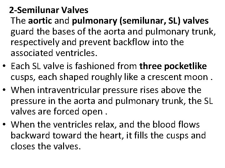 2 -Semilunar Valves The aortic and pulmonary (semilunar, SL) valves guard the bases of