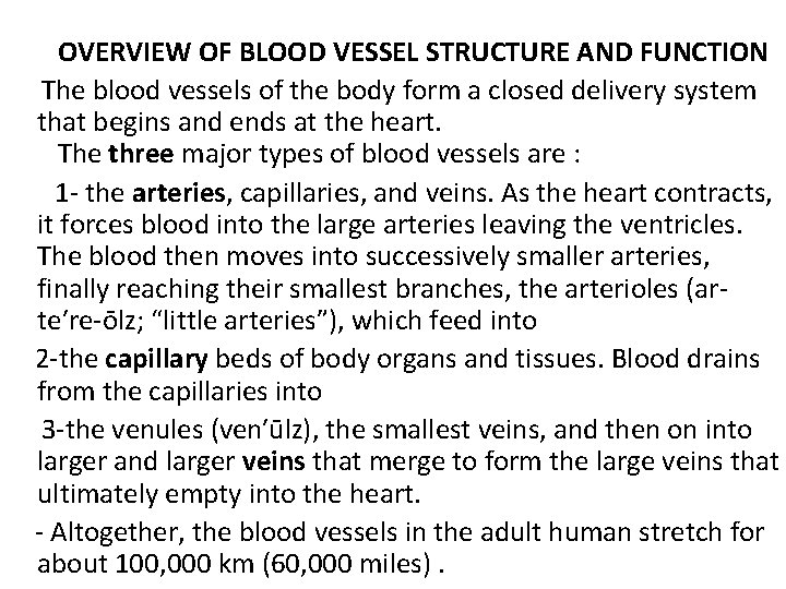 OVERVIEW OF BLOOD VESSEL STRUCTURE AND FUNCTION The blood vessels of the body form