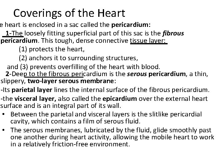 Coverings of the Heart e heart is enclosed in a sac called the pericardium: