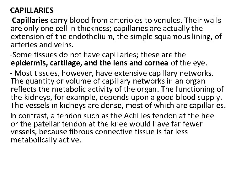 CAPILLARIES Capillaries carry blood from arterioles to venules. Their walls are only one cell