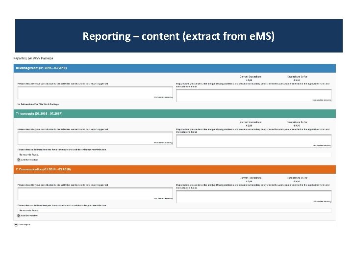 Reporting – content (extract from e. MS) 