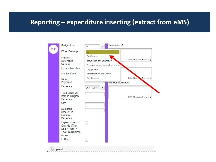 Reporting – expenditure inserting (extract from e. MS) 