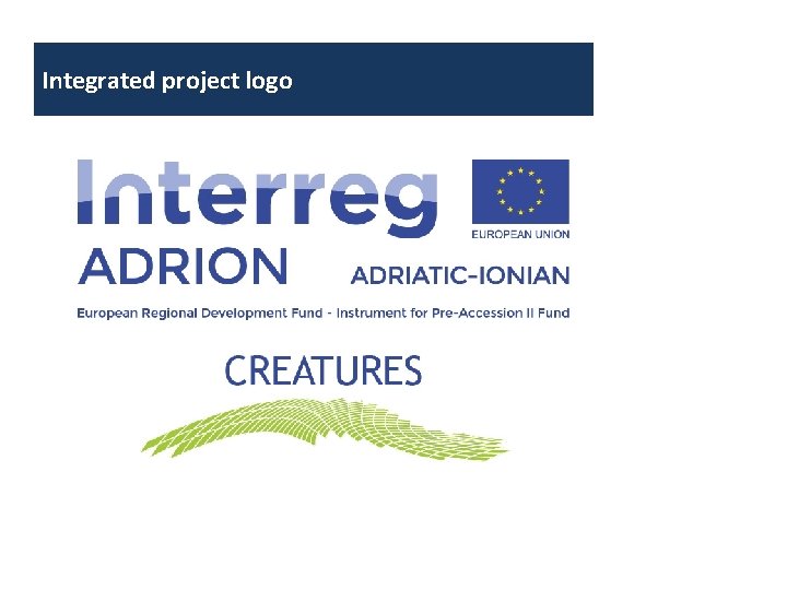 Integrated project logo 