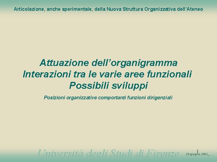 Articolazione, anche sperimentale, della Nuova Struttura Organizzativa dell’Ateneo Attuazione dell’organigramma Interazioni tra le varie