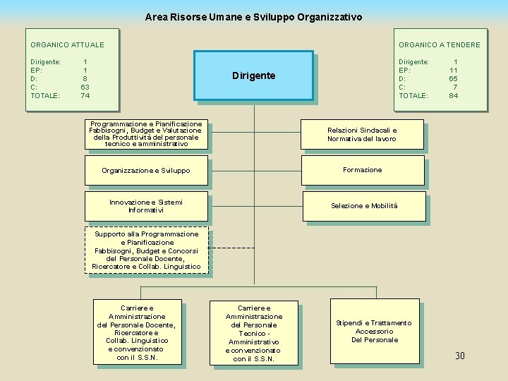 Area Risorse Umane e Sviluppo Organizzativo ORGANICO ATTUALE ORGANICO A TENDERE Dirigente: EP: D: