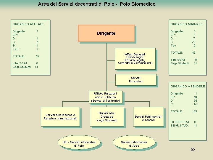 Area dei Servizi decentrati di Polo - Polo Biomedico ORGANICO ATTUALE Dirigente: EP: D: