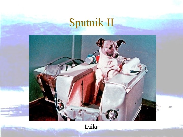 Sputnik II Laika 