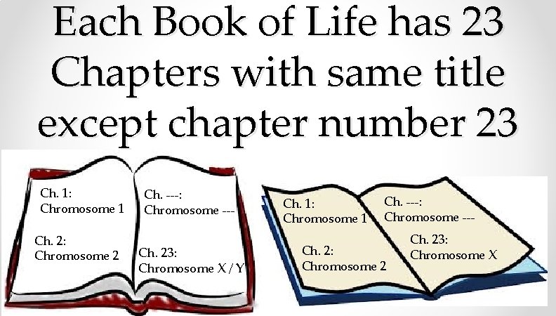 Each Book of Life has 23 Chapters with same title except chapter number 23 Each Book of Life has 23 Chapters with same title except chapter number 23