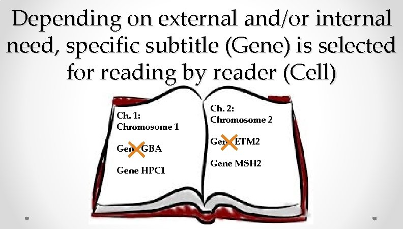Depending on external and/or internal need, specific subtitle (Gene) is selected for reading by Depending on external and/or internal need, specific subtitle (Gene) is selected for reading by