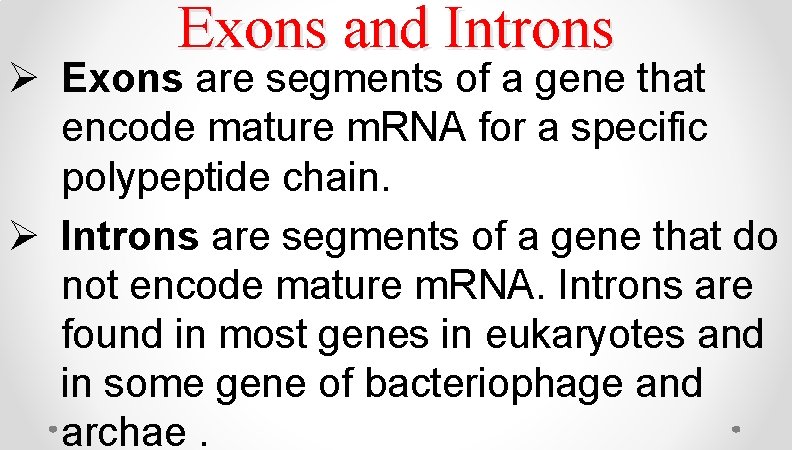 Exons and Introns Ø Exons are segments of a gene that encode mature m. Exons and Introns Ø Exons are segments of a gene that encode mature m.