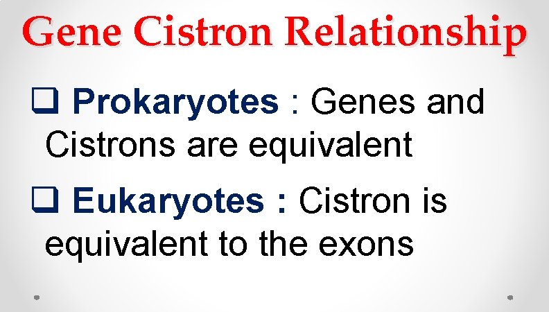 Gene Cistron Relationship q Prokaryotes : Genes and Cistrons are equivalent q Eukaryotes : Gene Cistron Relationship q Prokaryotes : Genes and Cistrons are equivalent q Eukaryotes :