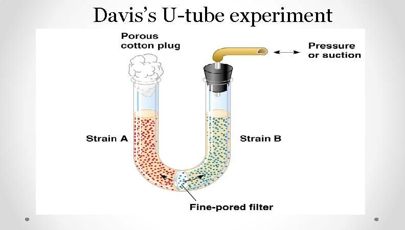 Davis’s U-tube experiment Davis’s U-tube experiment