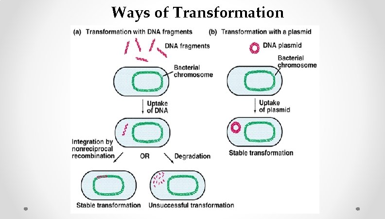 Ways of Transformation Ways of Transformation