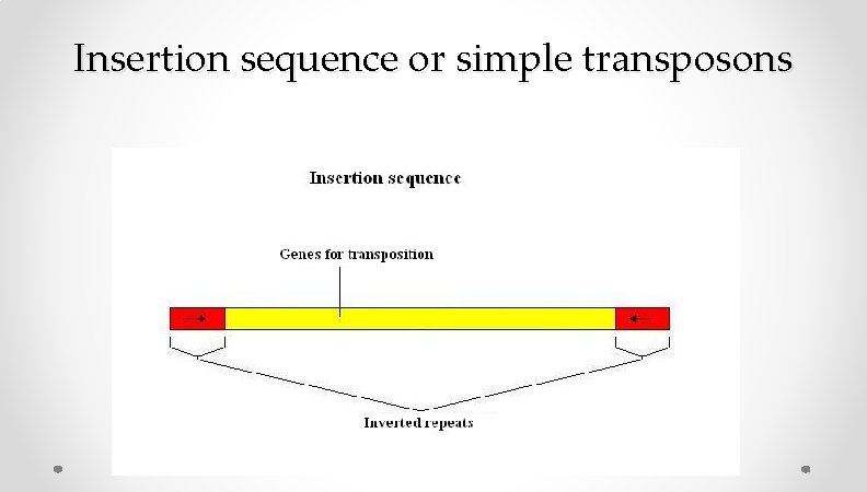 Insertion sequence or simple transposons Insertion sequence or simple transposons