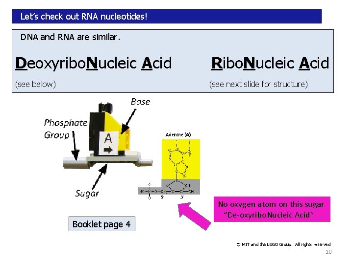 Let’s check out RNA nucleotides! DNA and RNA are similar. Deoxyribo. Nucleic Acid Ribo. Let’s check out RNA nucleotides! DNA and RNA are similar. Deoxyribo. Nucleic Acid Ribo.