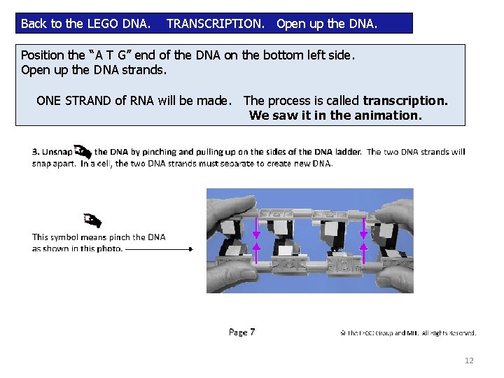 Back to the LEGO DNA. TRANSCRIPTION. Open up the DNA. Position the “A T Back to the LEGO DNA. TRANSCRIPTION. Open up the DNA. Position the “A T