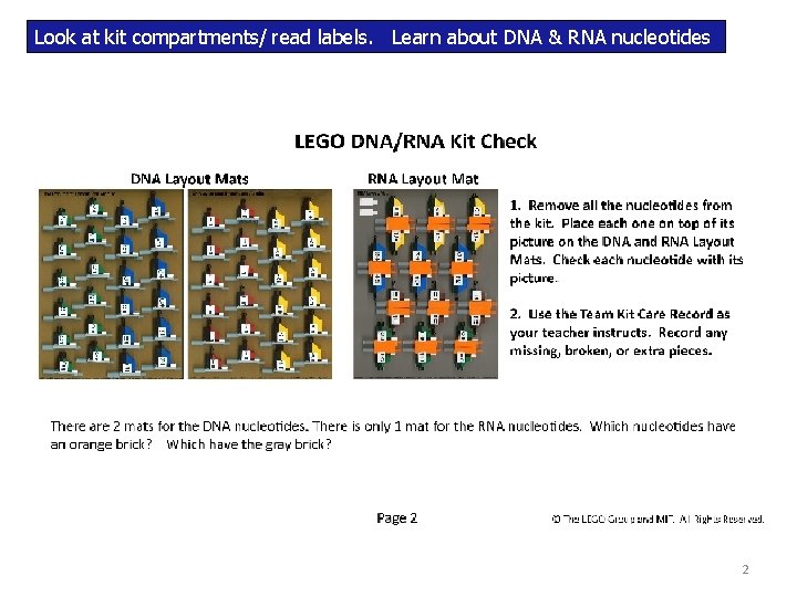 Look at kit compartments/ read labels. Learn about DNA & RNA nucleotides 2 Look at kit compartments/ read labels. Learn about DNA & RNA nucleotides 2