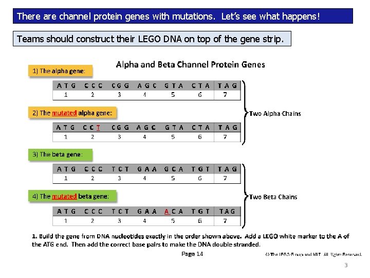 There are channel protein genes with mutations. Let’s see what happens! Teams should construct There are channel protein genes with mutations. Let’s see what happens! Teams should construct