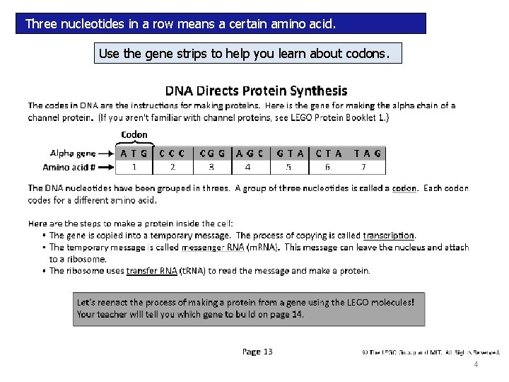 Three nucleotides in a row means a certain amino acid. Use the gene strips Three nucleotides in a row means a certain amino acid. Use the gene strips