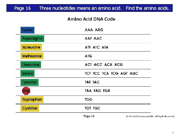 Page 16 Three nucleotides means an amino acid. Find the amino acids. 6 Page 16 Three nucleotides means an amino acid. Find the amino acids. 6