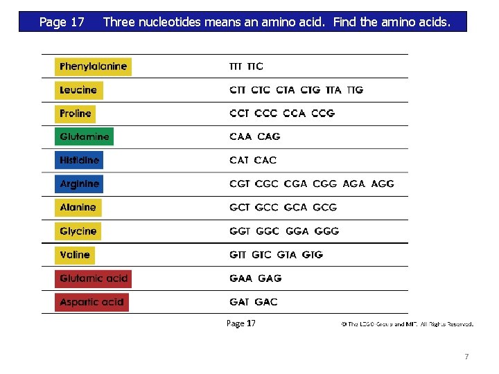 Page 17 Three nucleotides means an amino acid. Find the amino acids. 7 Page 17 Three nucleotides means an amino acid. Find the amino acids. 7