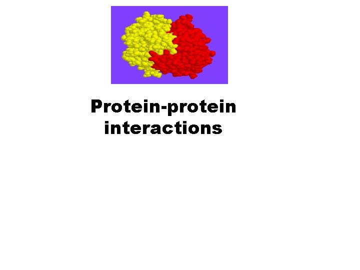 Protein-protein interactions 