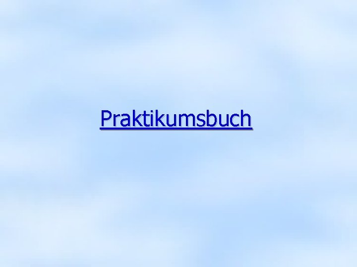 Praktikumsbuch 