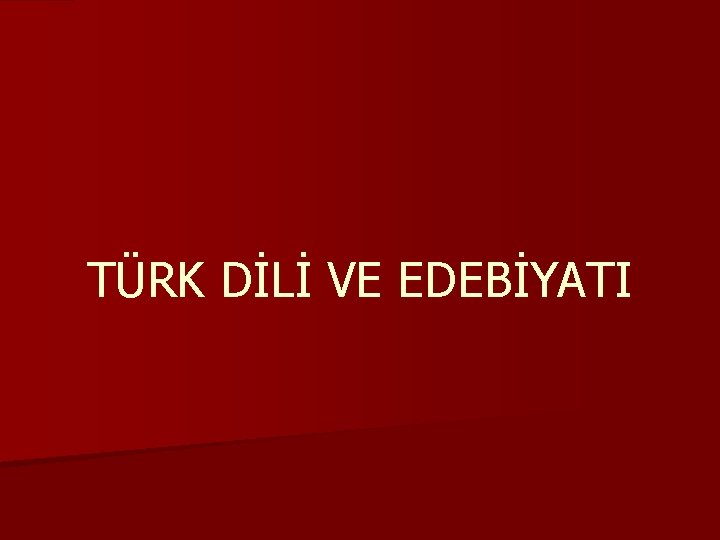 TÜRK DİLİ VE EDEBİYATI 