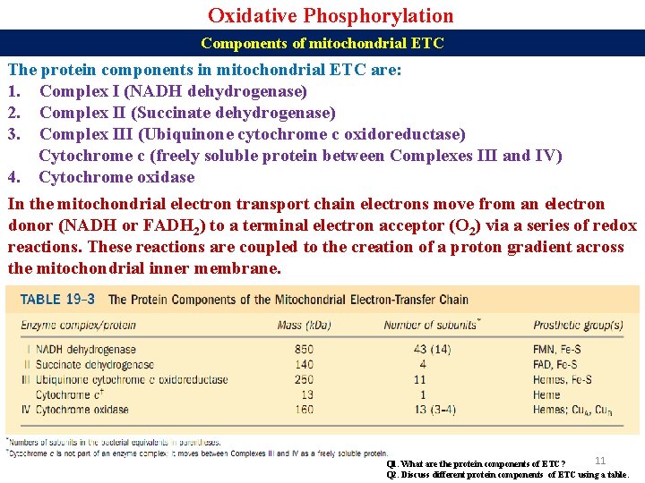 Oxidative Phosphorylation Components of mitochondrial ETC The protein components in mitochondrial ETC are: 1.