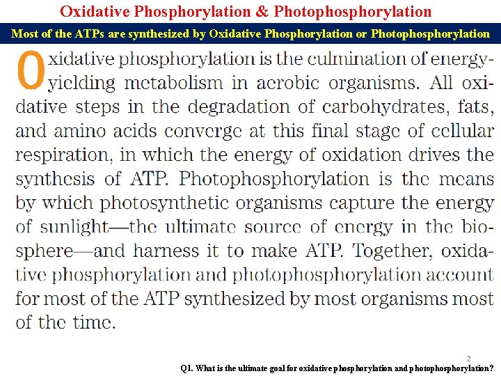 Oxidative Phosphorylation & Photophosphorylation Most of the ATPs are synthesized by Oxidative Phosphorylation or