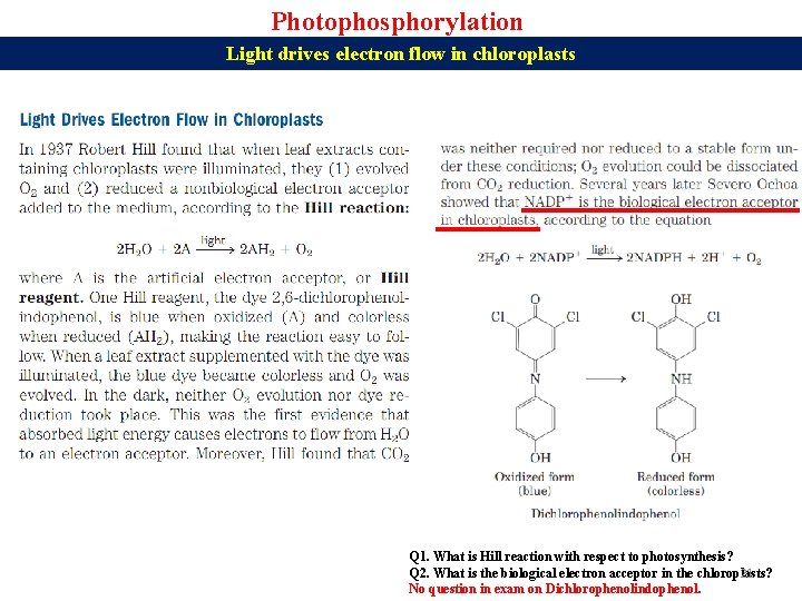 Photophosphorylation Light drives electron flow in chloroplasts Q 1. What is Hill reaction with