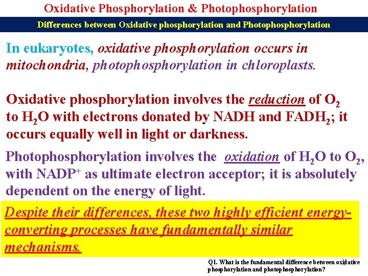 Oxidative Phosphorylation & Photophosphorylation Differences between Oxidative phosphorylation and Photophosphorylation In eukaryotes, oxidative phosphorylation