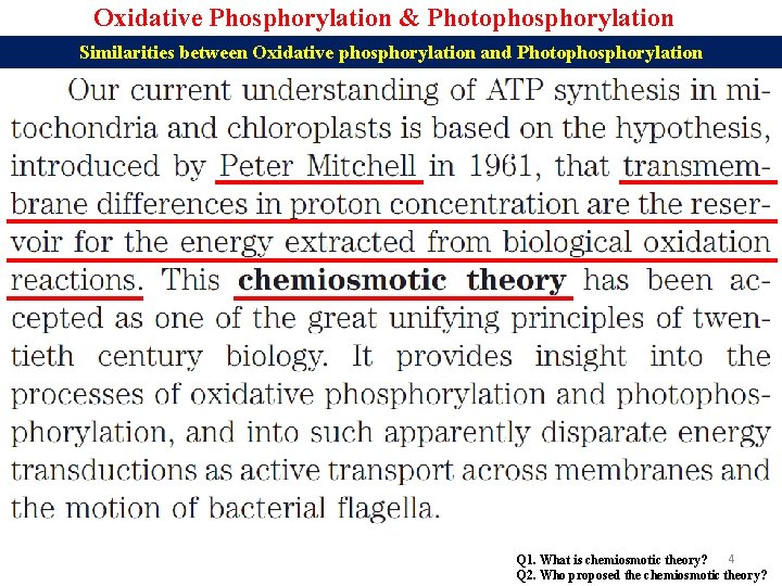 Oxidative Phosphorylation & Photophosphorylation Similarities between Oxidative phosphorylation and Photophosphorylation 4 Q 1. What