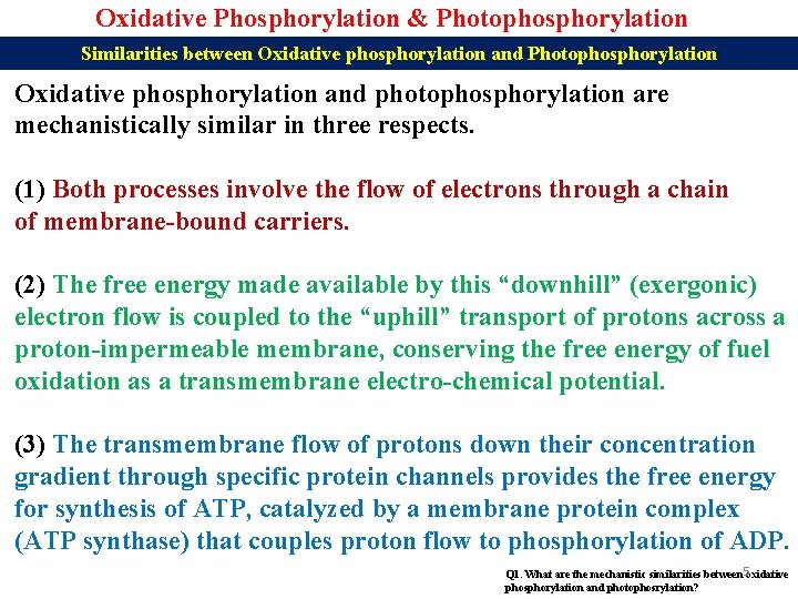 Oxidative Phosphorylation & Photophosphorylation Similarities between Oxidative phosphorylation and Photophosphorylation Oxidative phosphorylation and photophosphorylation