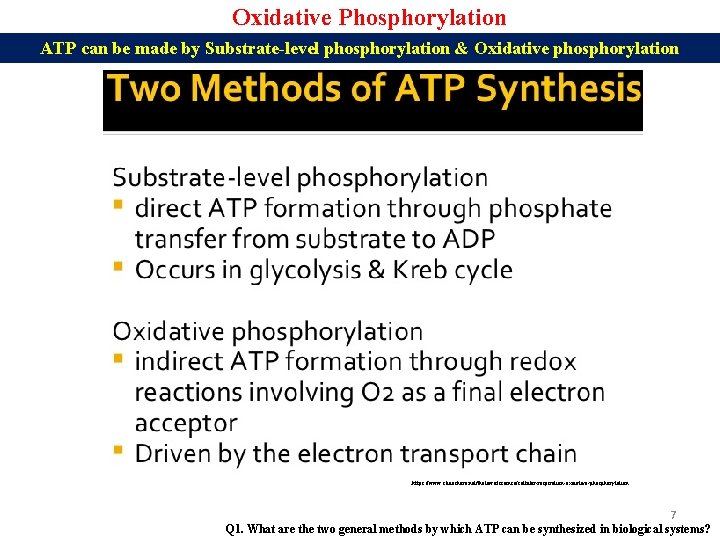 Oxidative Phosphorylation ATP can be made by Substrate-level phosphorylation & Oxidative phosphorylation https: //www.