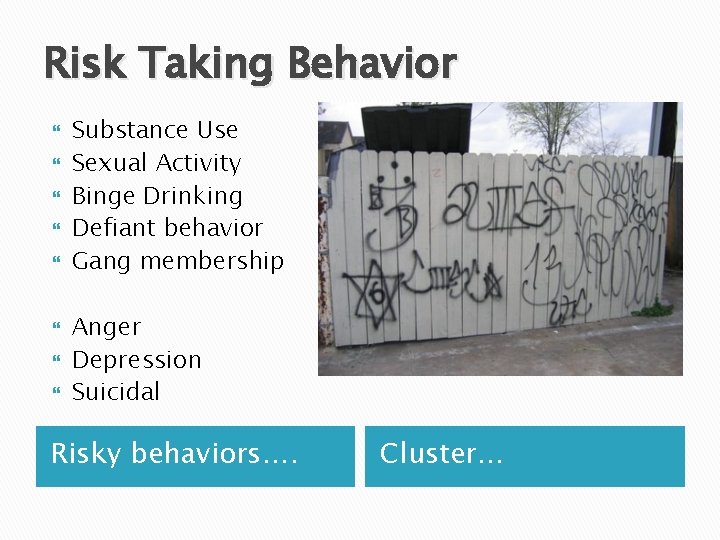 Risk Taking Behavior Substance Use Sexual Activity Binge Drinking Defiant behavior Gang membership Anger