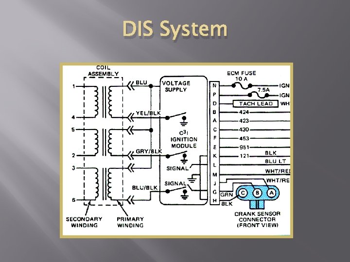 DIS System 