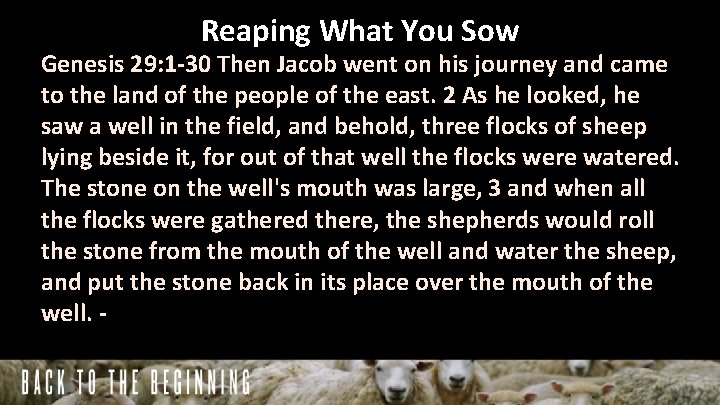 Reaping What You Sow Genesis 29: 1 -30 Then Jacob went on his journey