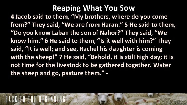 Reaping What You Sow 4 Jacob said to them, “My brothers, where do you