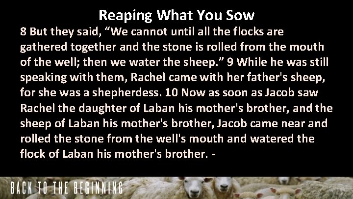 Reaping What You Sow 8 But they said, “We cannot until all the flocks