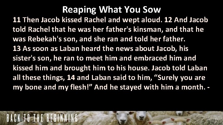 Reaping What You Sow 11 Then Jacob kissed Rachel and wept aloud. 12 And