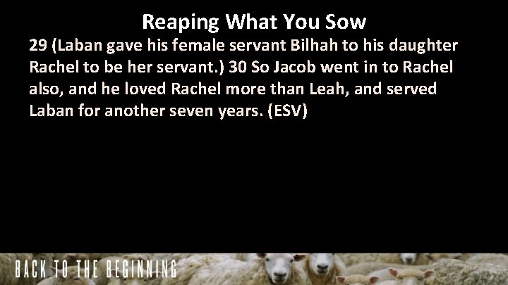 Reaping What You Sow 29 (Laban gave his female servant Bilhah to his daughter