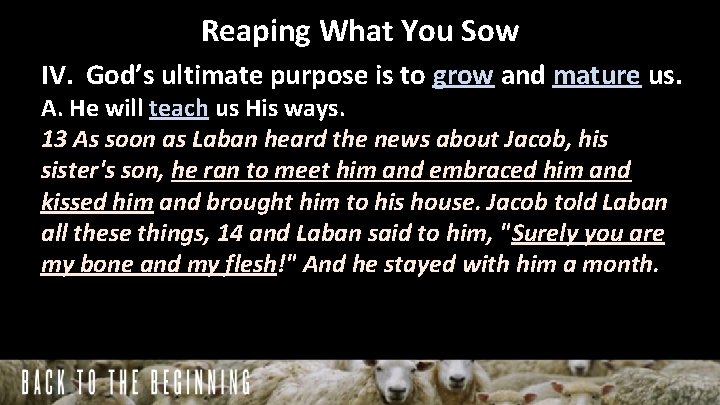 Reaping What You Sow IV. God’s ultimate purpose is to grow and mature us.