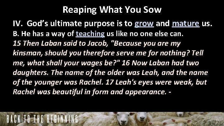Reaping What You Sow IV. God’s ultimate purpose is to grow and mature us.
