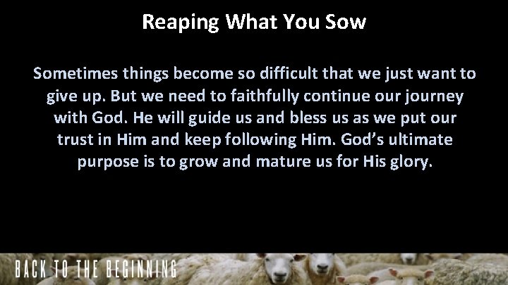 Reaping What You Sow Sometimes things become so difficult that we just want to