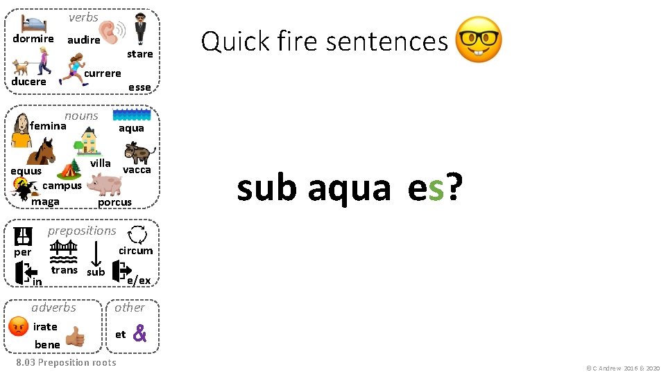 verbs dormire audire stare currere ducere nouns femina campus maga esse aqua villa equus