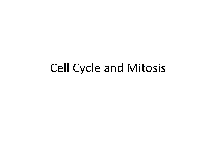 Cell Cycle and Mitosis 