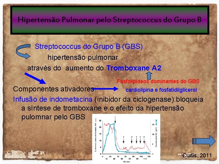 Hipertensão Pulmonar pelo Streptococcus do Grupo B (GBS) hipertensão pulmonar através do aumento do