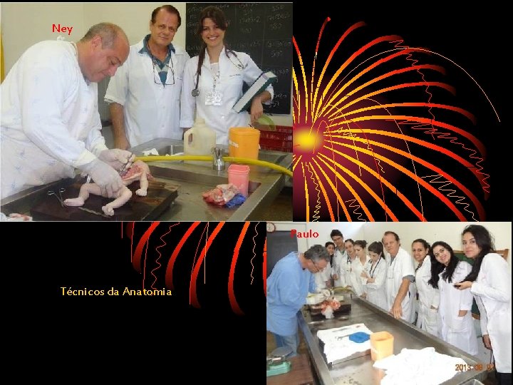 Ney Paulo Técnicos da Anatomia 